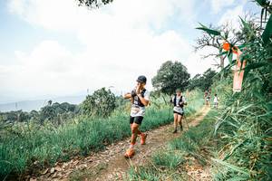 BIB: 
                            <button type="button" onclick="openModal(26039509)" class="btn btn-primary btn-sm float-right btn-popup" data-toggle="modal" data-target=".modal-high-quality">
                        <i class="fas fa-shopping-cart"></i> Add to Cart
                    </button>
                                            <button type="button" onclick="isThisMe(26039509, true)" class="btn btn-success btn-sm float-right btn-popup btn-isme hidden" data-toggle="tooltip" data-placement="bottom" title="นี่คือรูปของคุณใช่ไหม คลิกที่นี่เพื่อเอาเข้าอัลบั้ม">
                        <i class="fas fa-plus"></i> Add to album
                    </button>
                    <button type="button" onclick="isThisMe(26039509, false)" class="btn btn-warning btn-sm float-right btn-popup btn-isnotme hidden">
                        <i class="fas fa-ban"></i> Remove from album
                    </button>